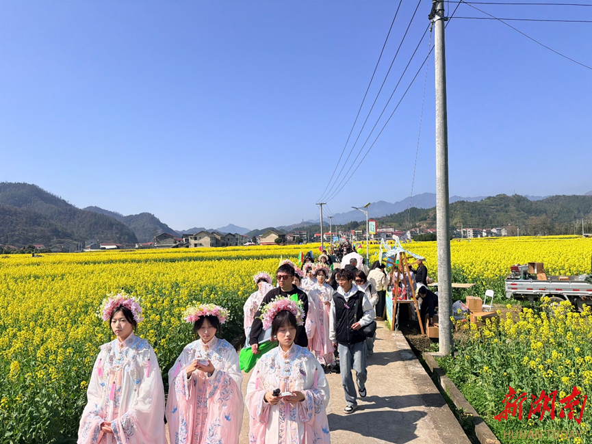 从“赏花”到“增收”：安化的油菜花海里，藏着4.1万吨的丰收答案