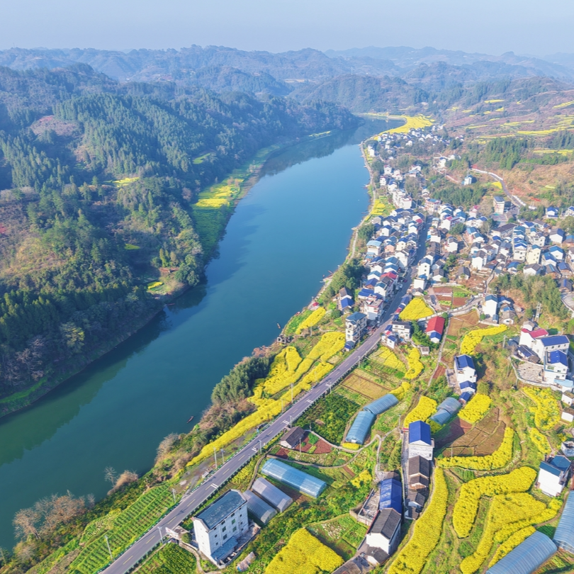 春天在哪里①｜走！到泸溪县大陂流村看油菜花海去