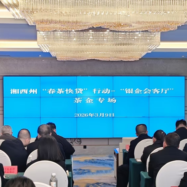 金融“及时雨”滋润湘西春茶@湖南日报