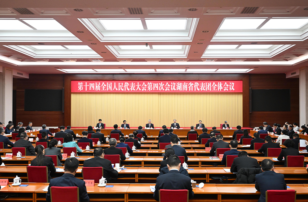 湖南代表團舉行第五次全體會議和分組會議