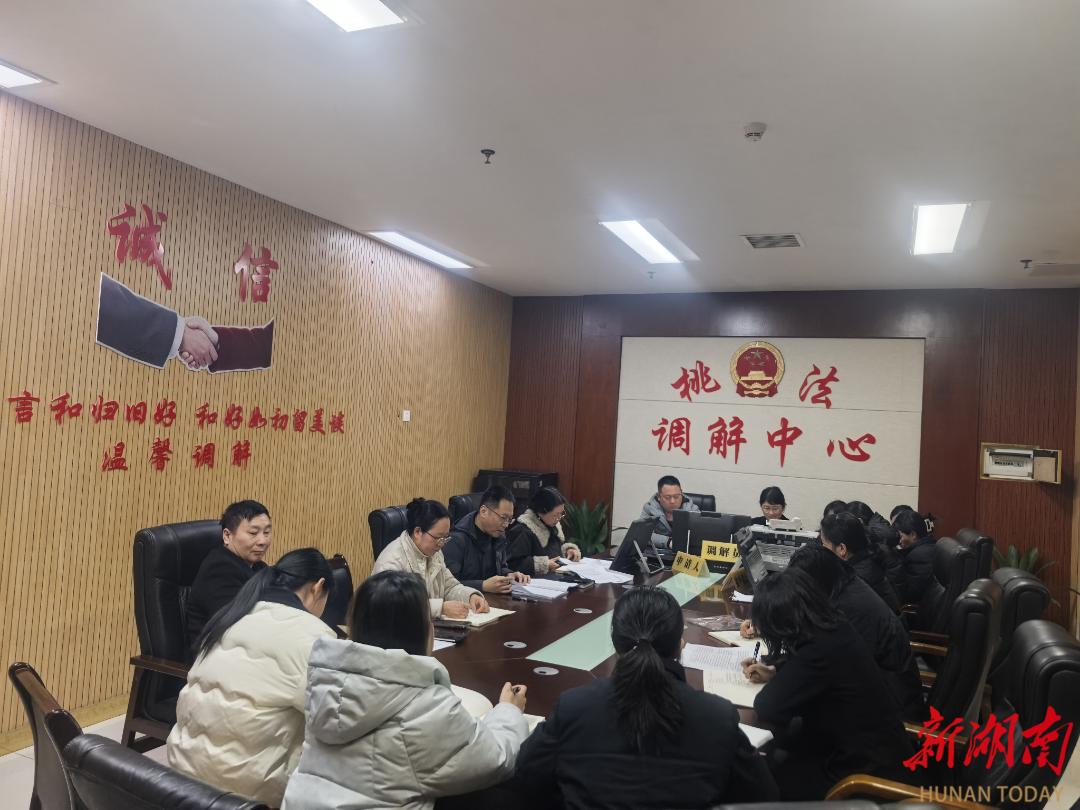 提升诉讼质效、实现多元解纷，桃江法院组织干警集中“充电”