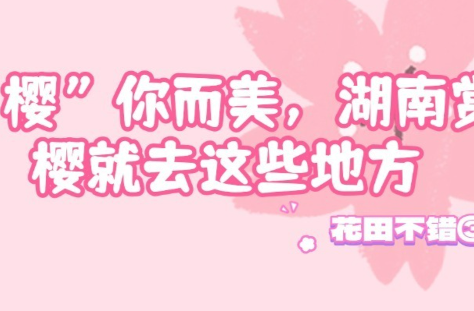 “樱”你而美，湖南赏樱就去这些地方