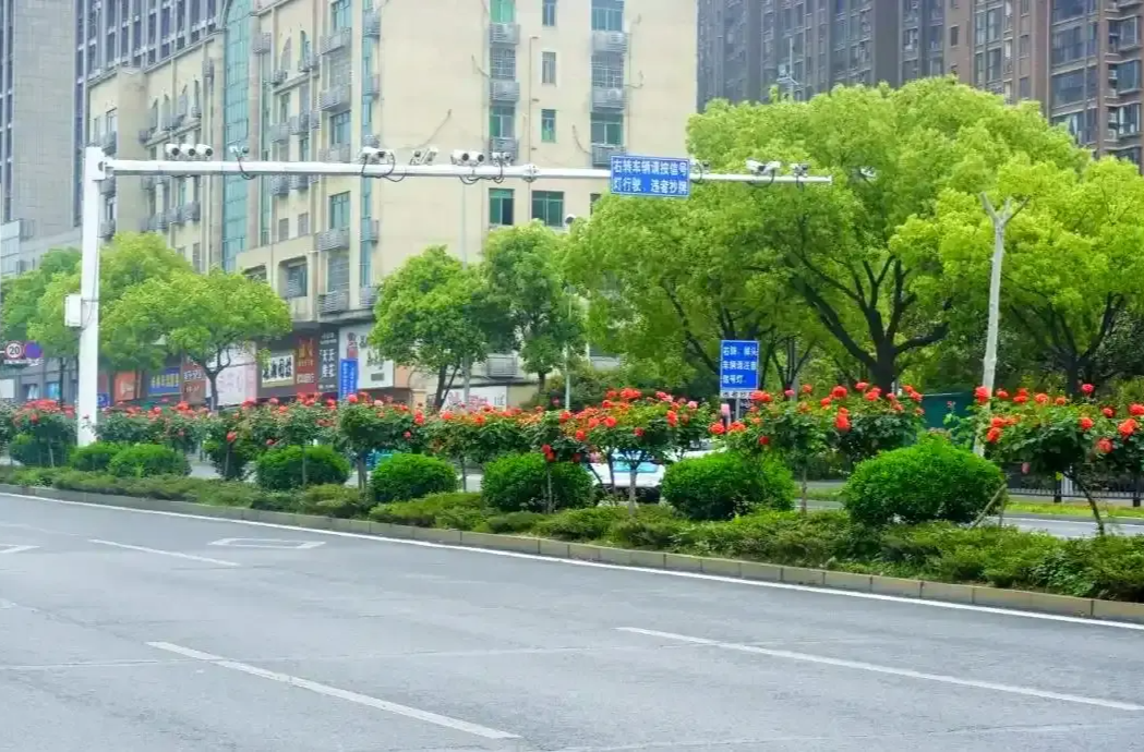 精细治理“洗”出城市“净”颜——湘潭市道路扬尘治理交出优异答卷