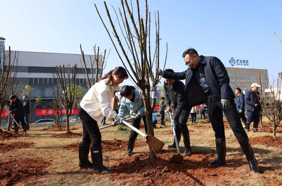 春风添新绿！石峰区开展义务植树活动
