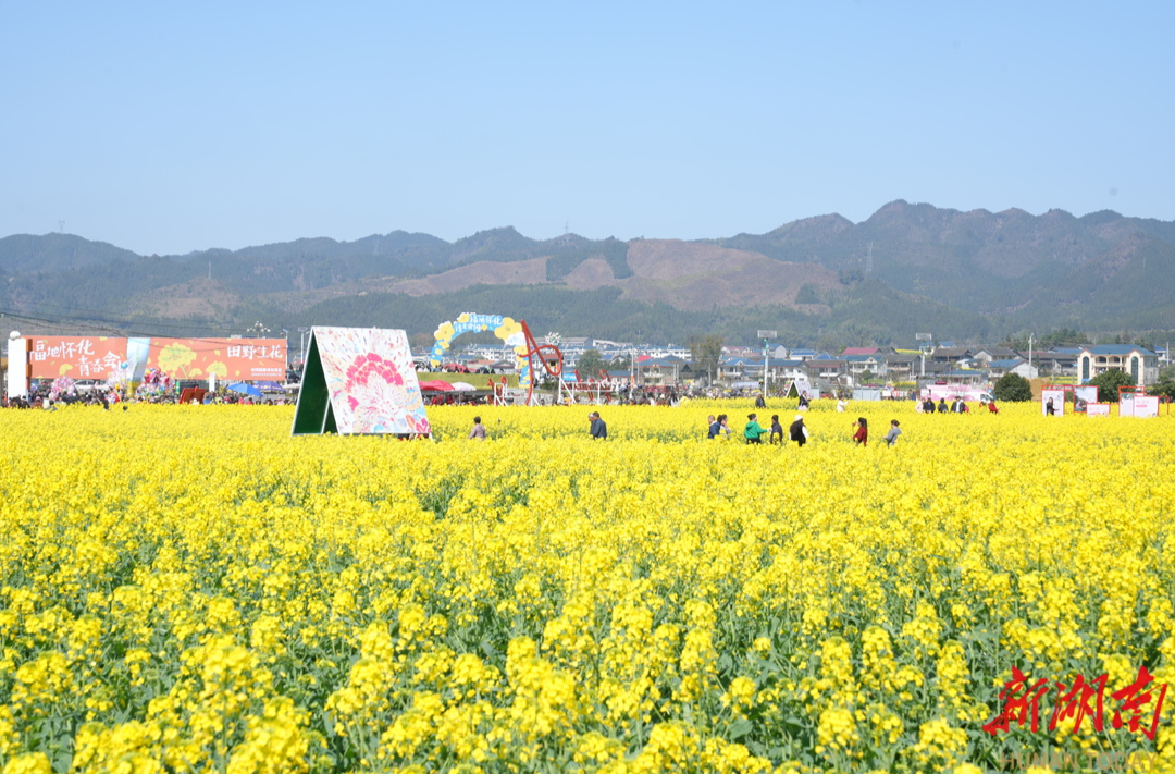 2026湖南油菜花节开幕  奏响乡村振兴“金色乐章”