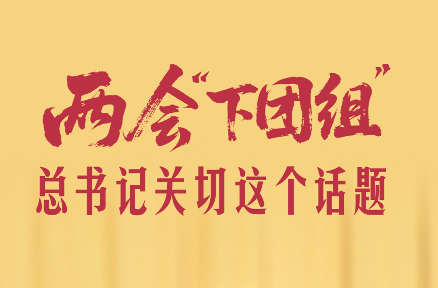 一见·两会“下团组”，总书记关切这个话题