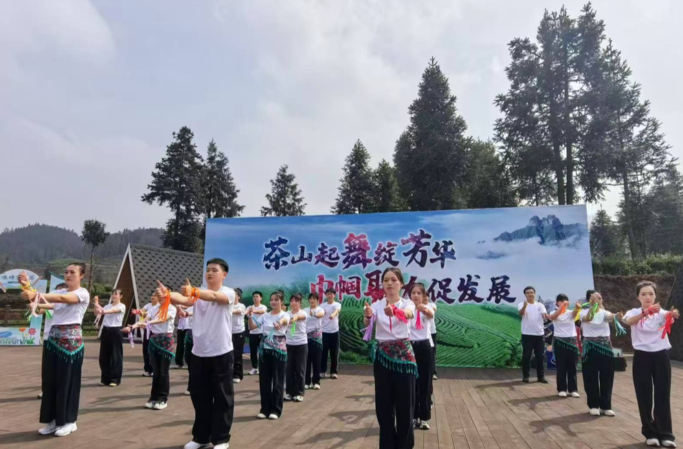 万亩茶园里，她们当起“推介员”