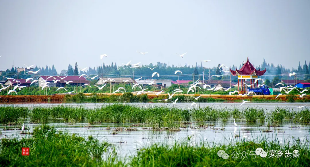 @津市：“德甲”为桥，“北有安乡”与君同行