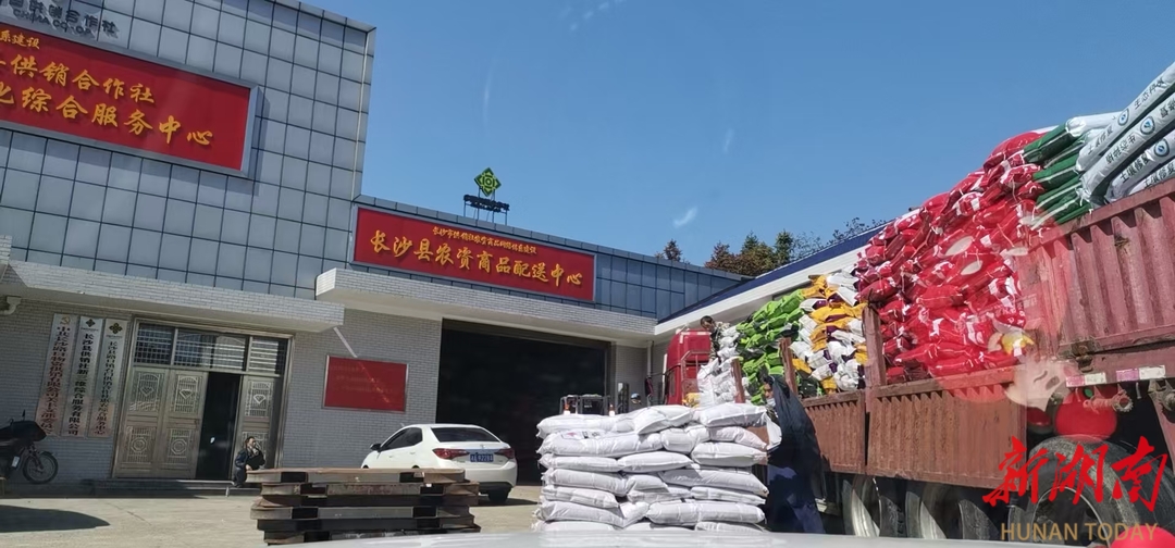 长沙：农资保供到田间 供销护航春耕忙