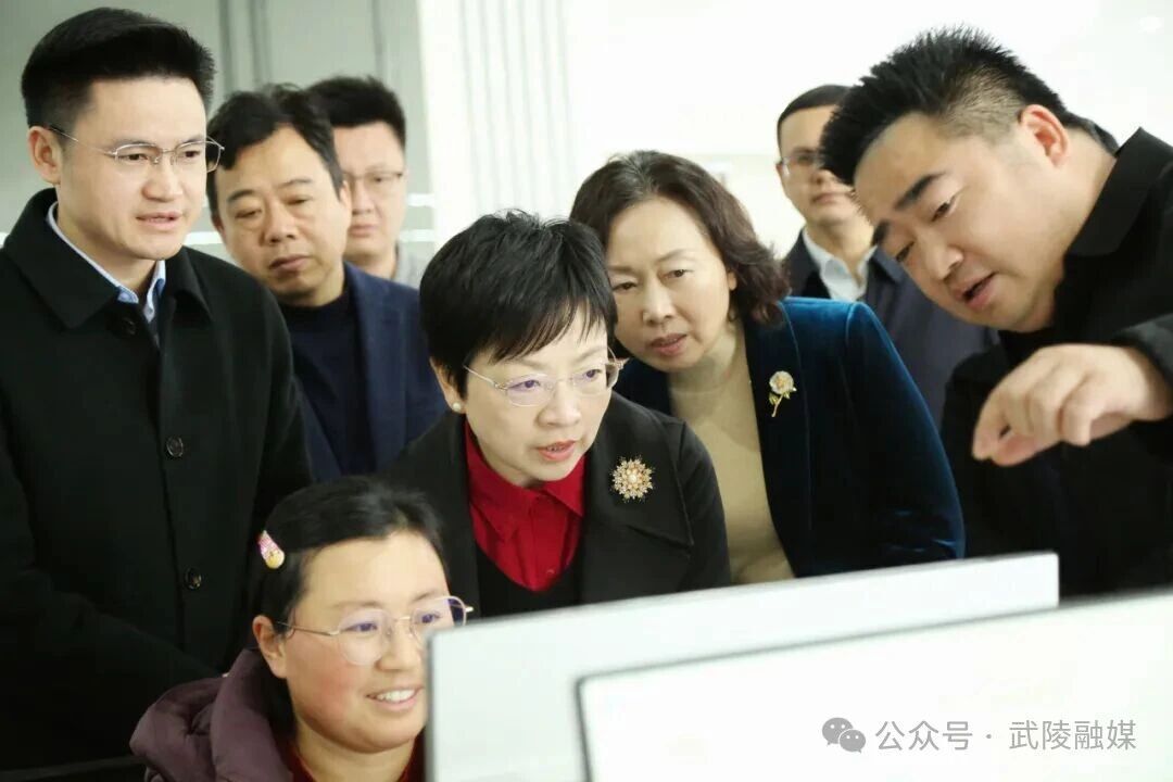 省数据局调研武陵区数据产业发展相关工作