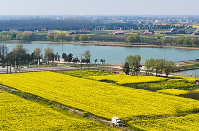 西洞庭管理区：千亩油菜花开正艳 邀您共赴春日之约