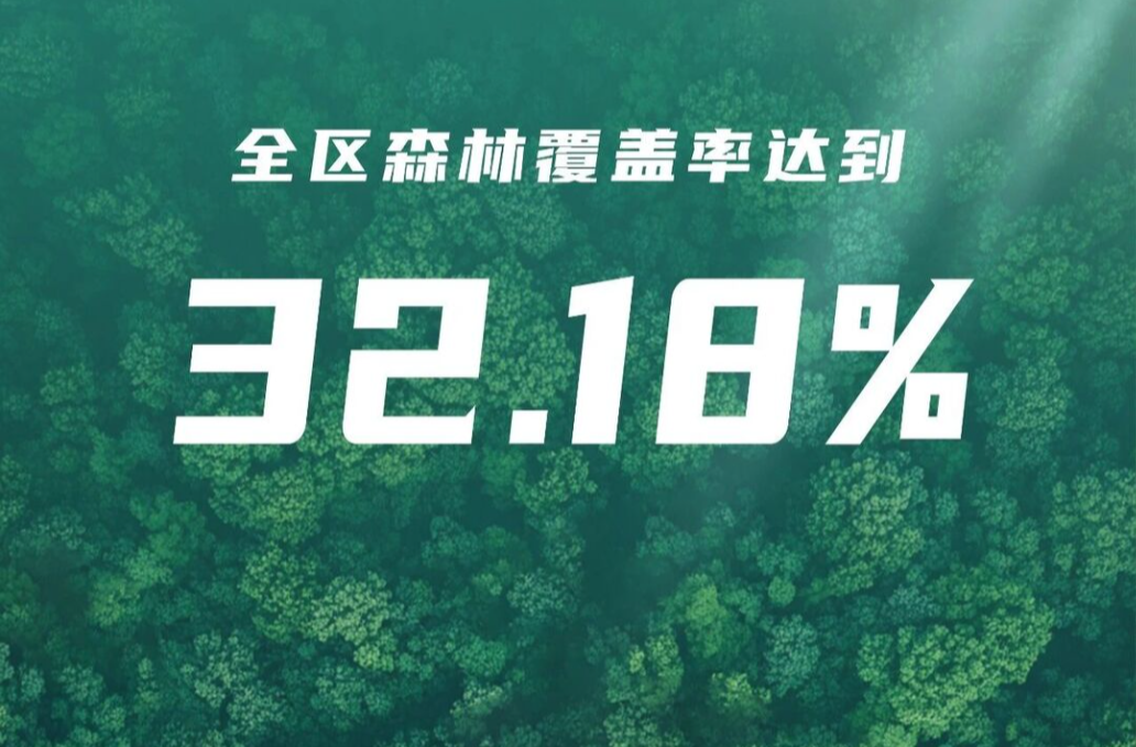 鼎城“植”此青绿，这份成绩单很硬核