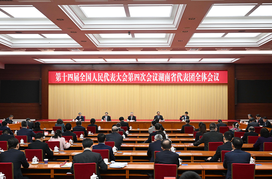 湖南代表團舉行分組會議和第六次全體會議