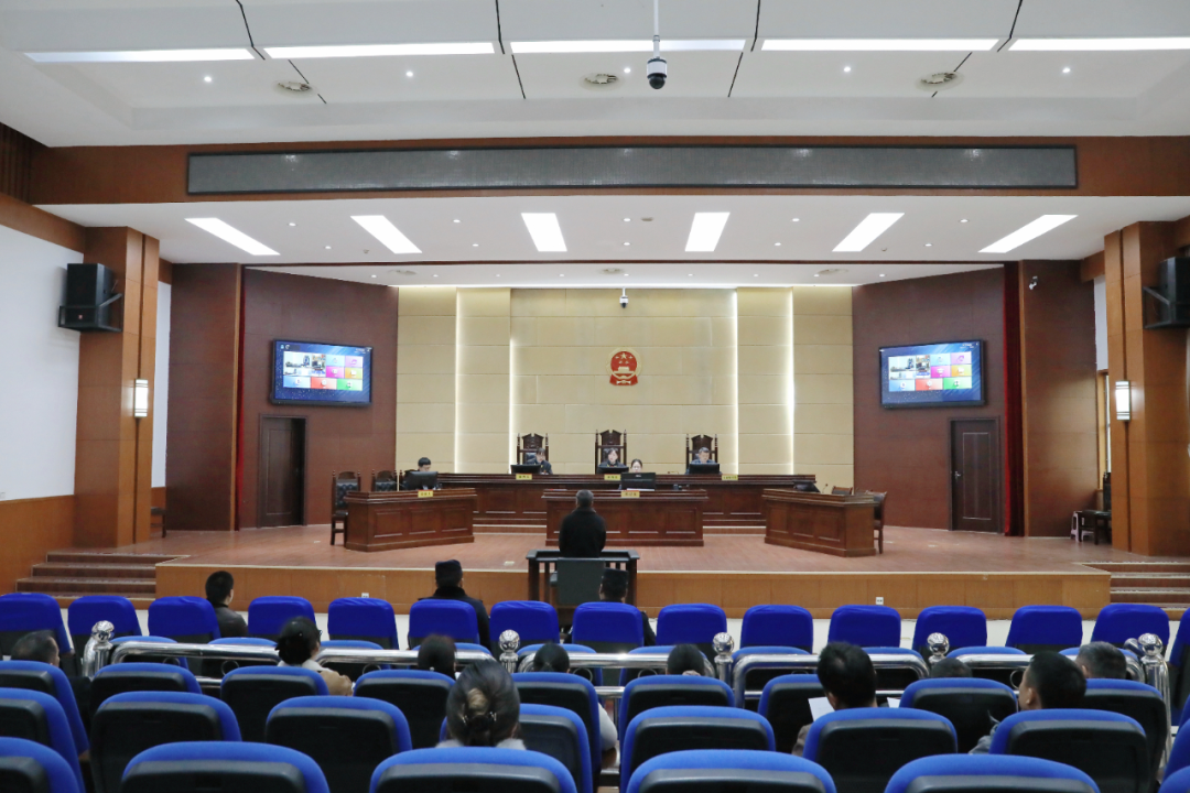 永定区法院公开开庭审理一起滥伐林木案