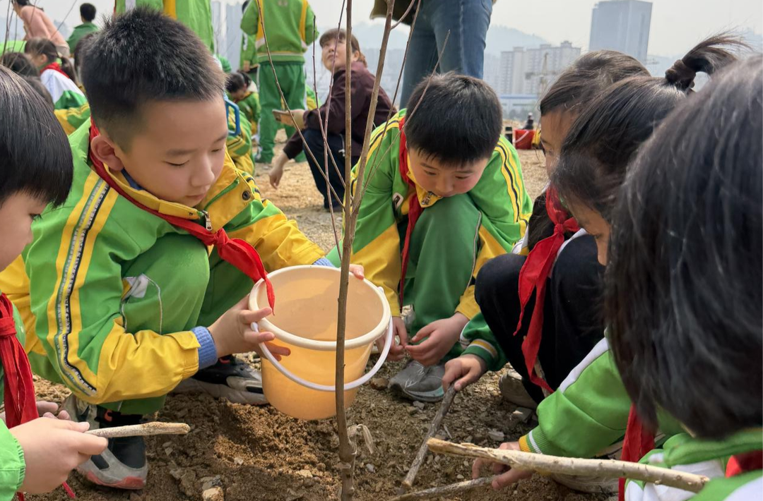 湘西州湾溪小学师生家长携手为青山添新绿