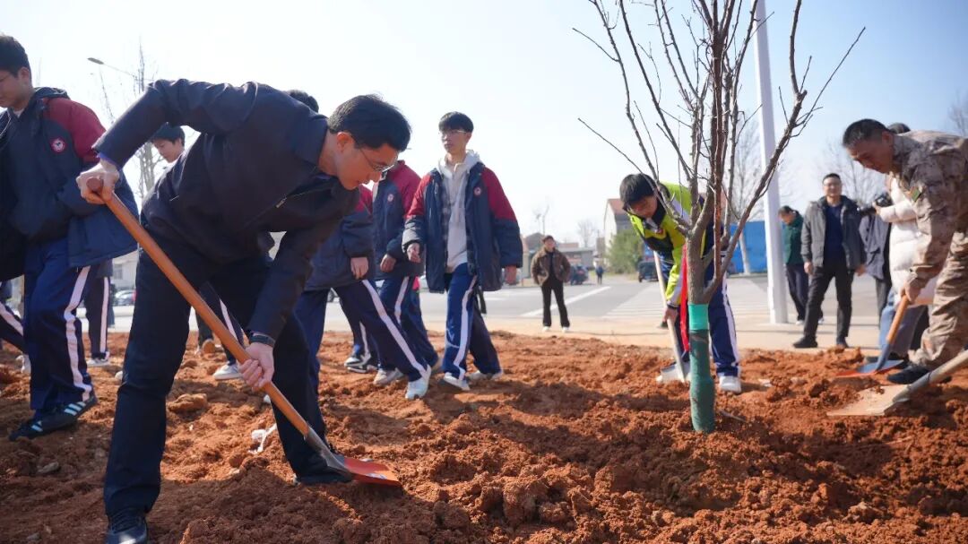 澧县开展义务植树活动