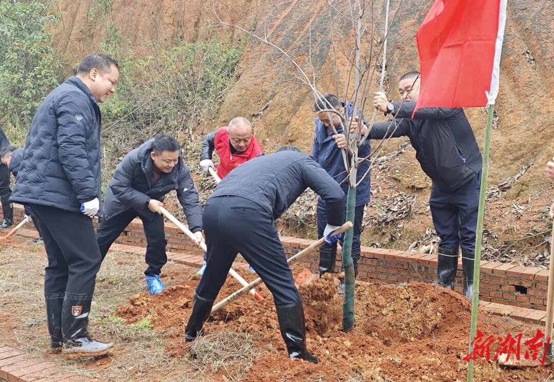 不负春光 为绿充“植” 珠晖区开展义务植树活动