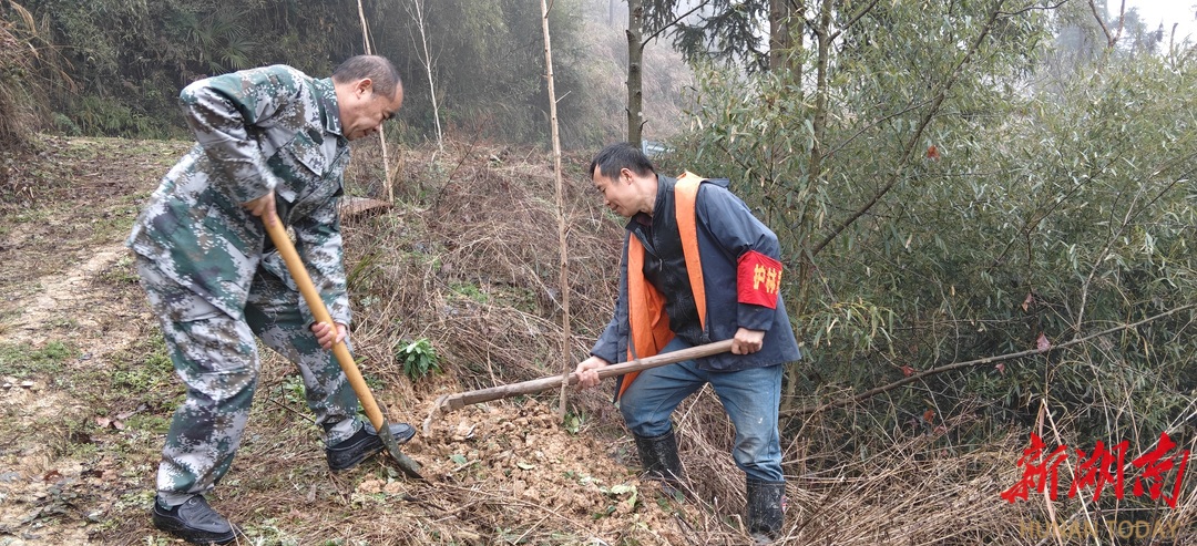 新晃鱼市镇开展2026年义务植树活动