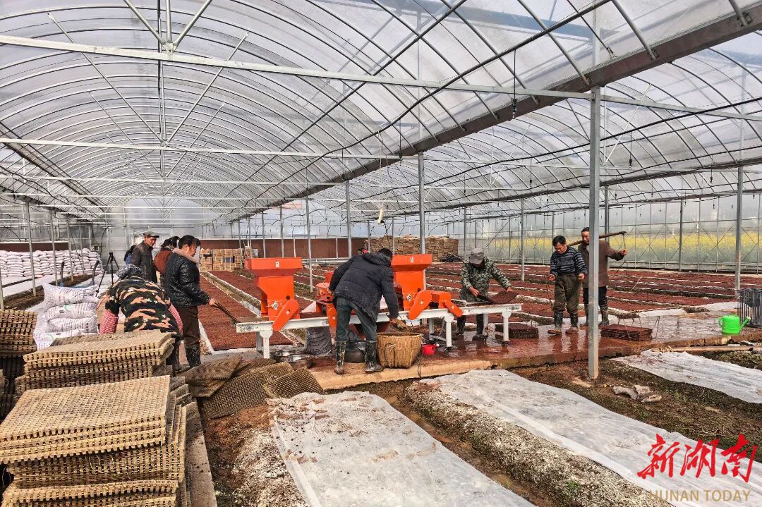 万象“耕”新！鼎城这片土地忙起来了