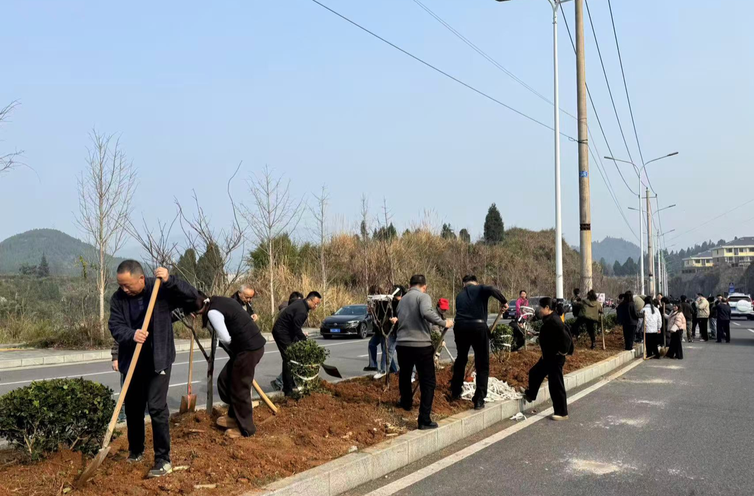 春风里，他们种下650株新绿，也种下对未来的期许
