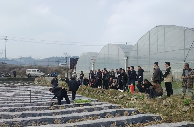 从“会种烟”到“慧种烟”，湘西烟农在地头学了一课