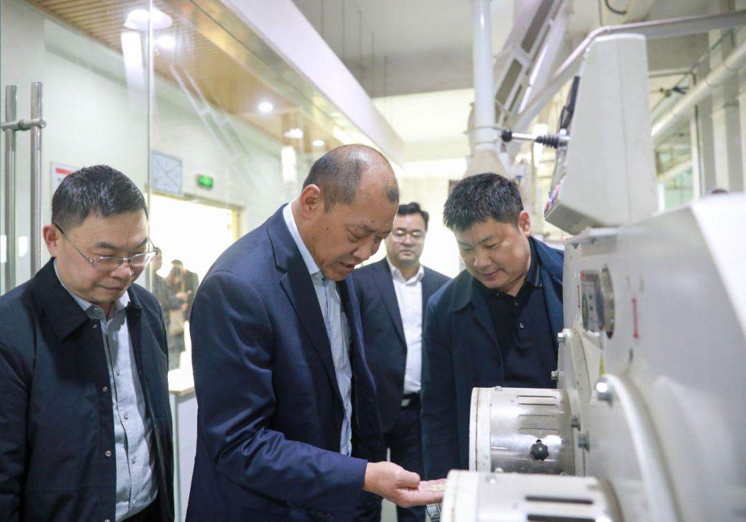 省粮食和物资储备局来常德调研粮食工作