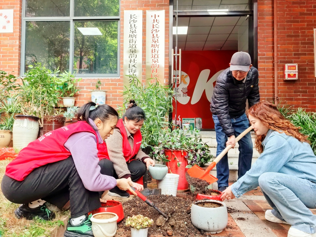从“闲置花盆”到“共享花园”，方寸天地见治理新意