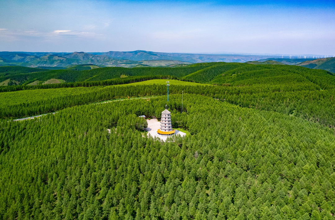 天天学习｜不断增厚我们的“绿色家底”