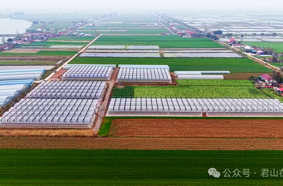 三十而立·岁与君和⑬ | 从“土里刨食”到“苗上生金”——君山育苗三十年跨越记