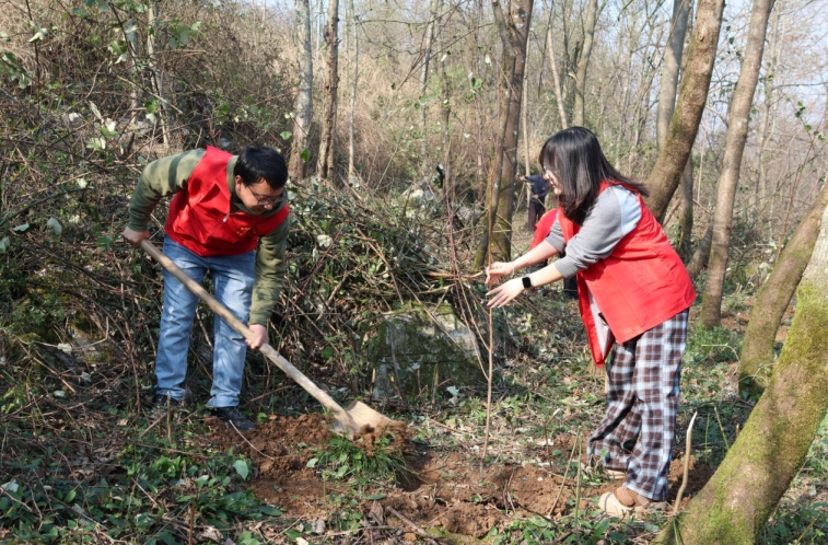 山坡上，他们种下200棵“绿色希望”