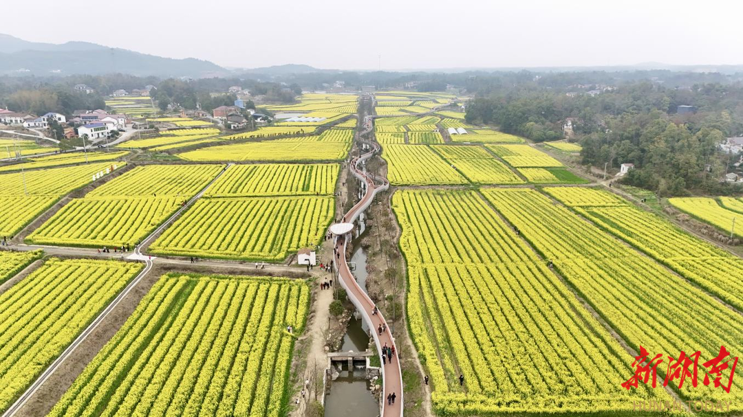 福临镇第三届油菜花季启幕，文旅IP“福麟”“福珠猪”正式亮相