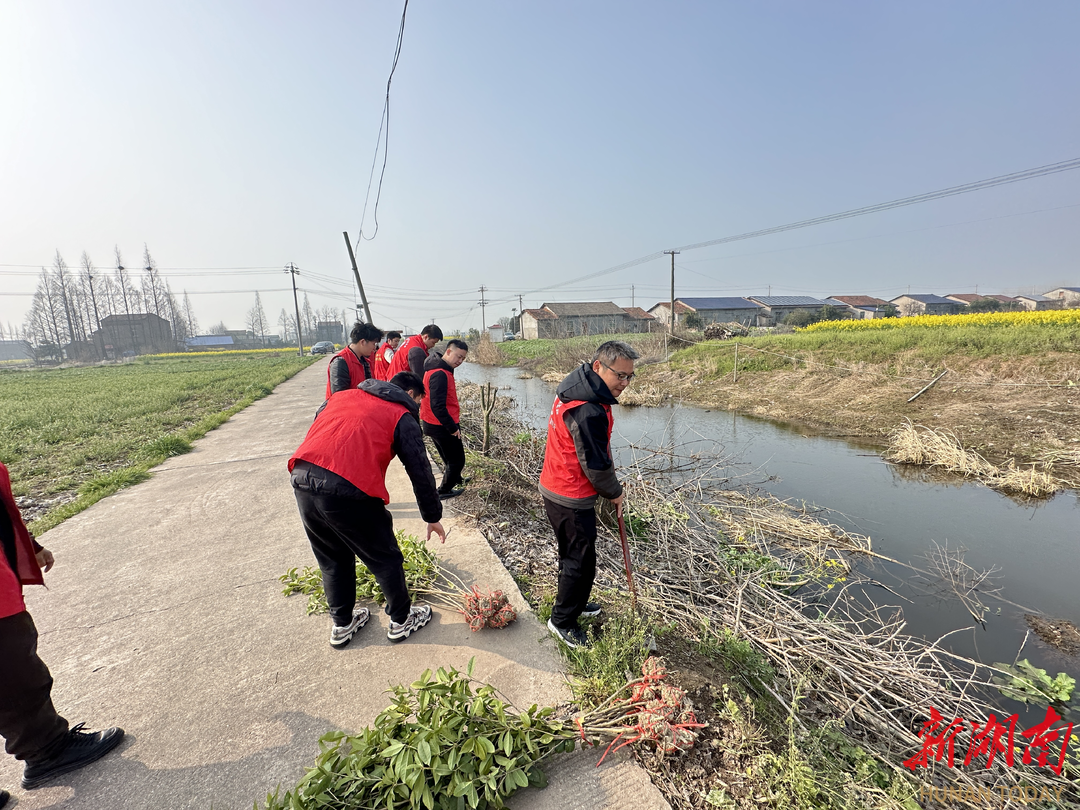 植下“希望树” 深耕基层治理沃土