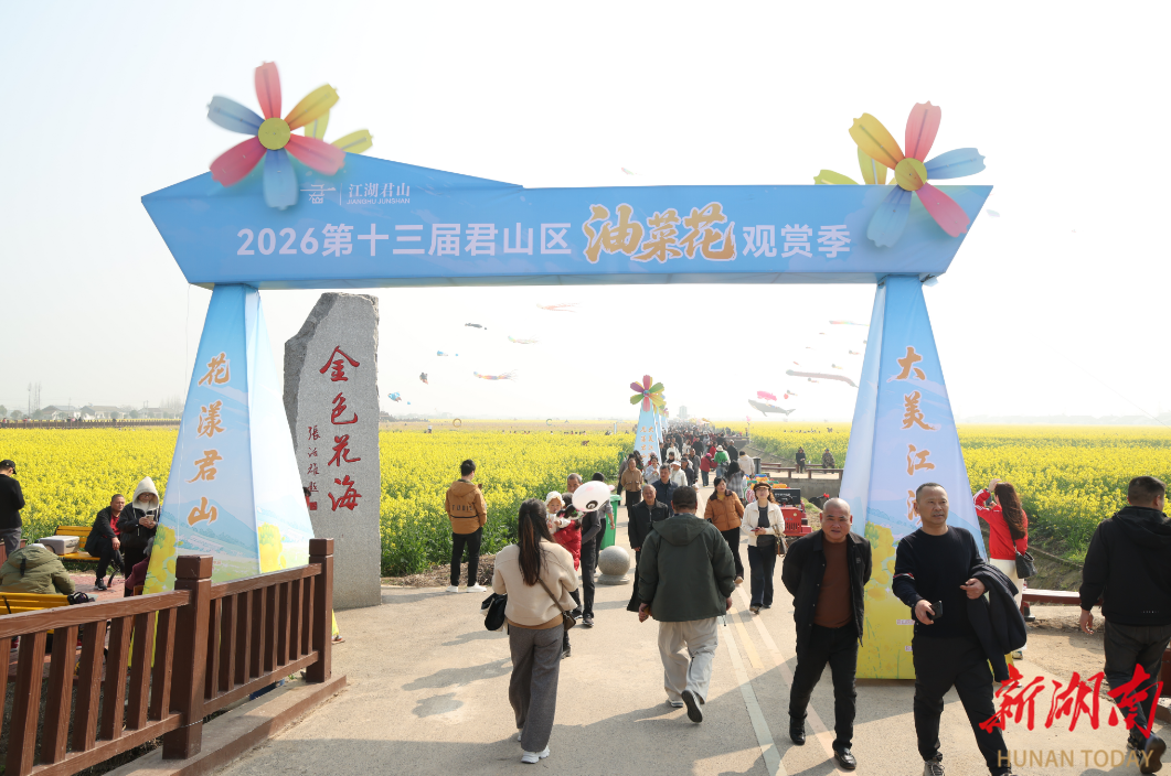 油菜花已开 君山等你来