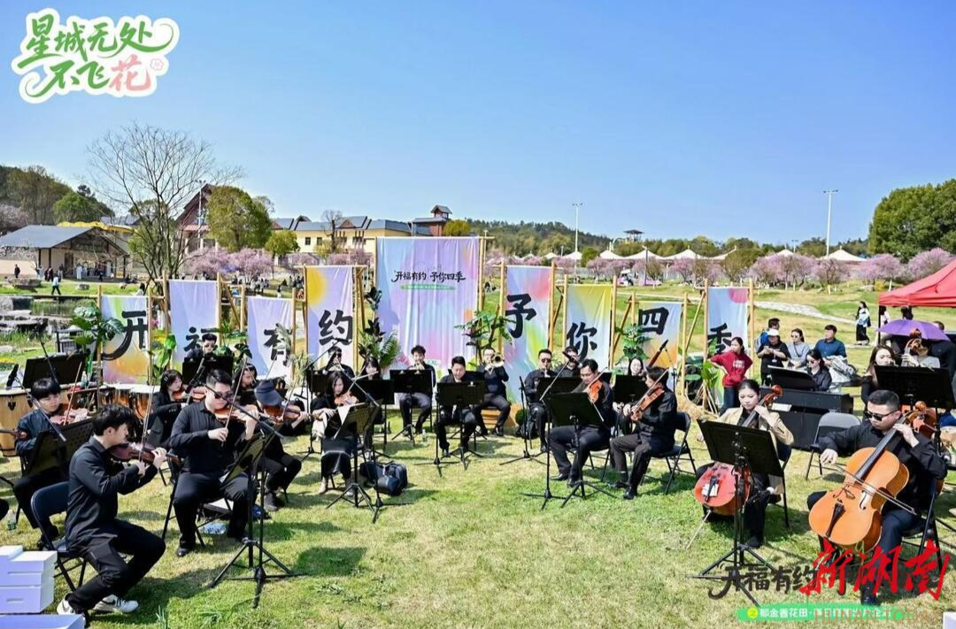 “开福有约·予你四季”启幕：赏花、听音乐会、逛市集！
