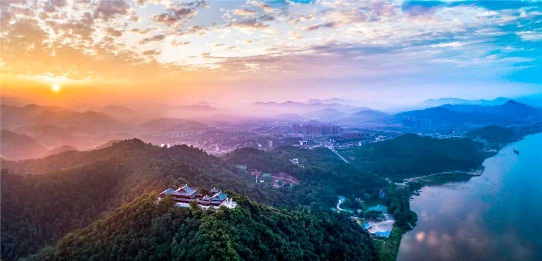 最严法治护绿 湘潭市首份古树名木司法保护令发布