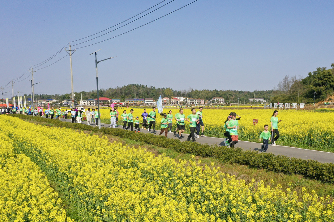 千名跑友驰骋万亩油菜花海，解锁多元春日体验