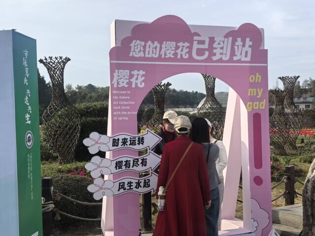 要“流量”更要“留量”——湖南樱花季经济观察