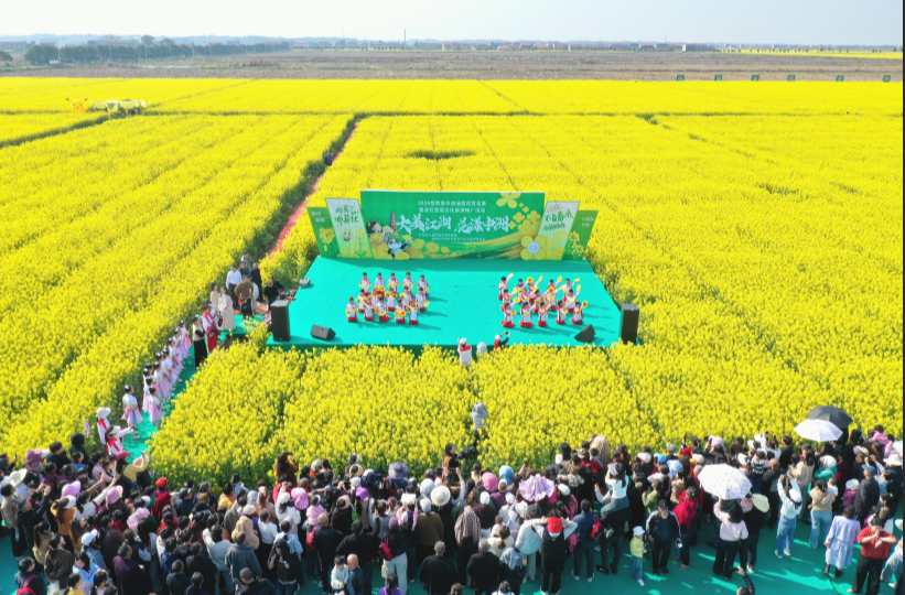 3000亩油菜花盛放 “花海＋”模式让乡村游持续升温