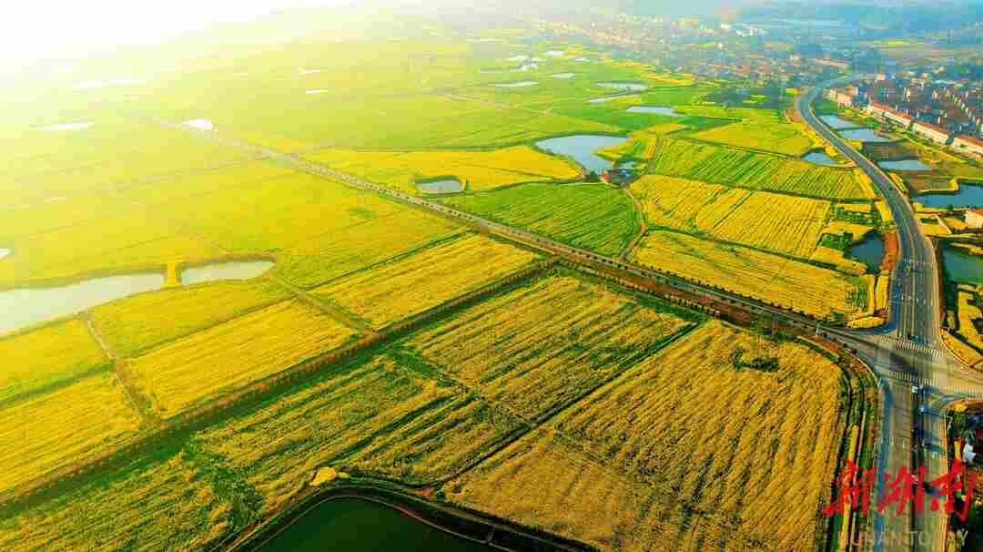 澧县：春潮涌金浪 非遗绘春章