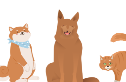 预防狂犬病，避开这三个常见误区 | 科普时间