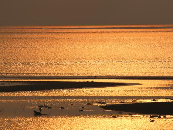 63980153543cut_img.png 63980153543cut_img.png