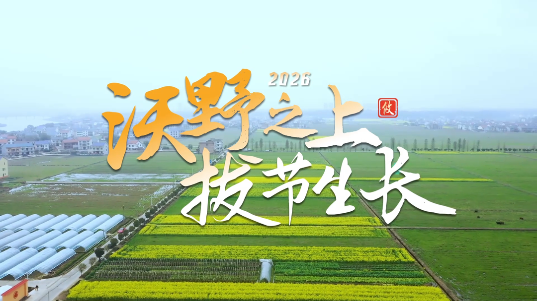 视频｜纪录片《沃野之上 拔节生长》，攸县开启强农新章