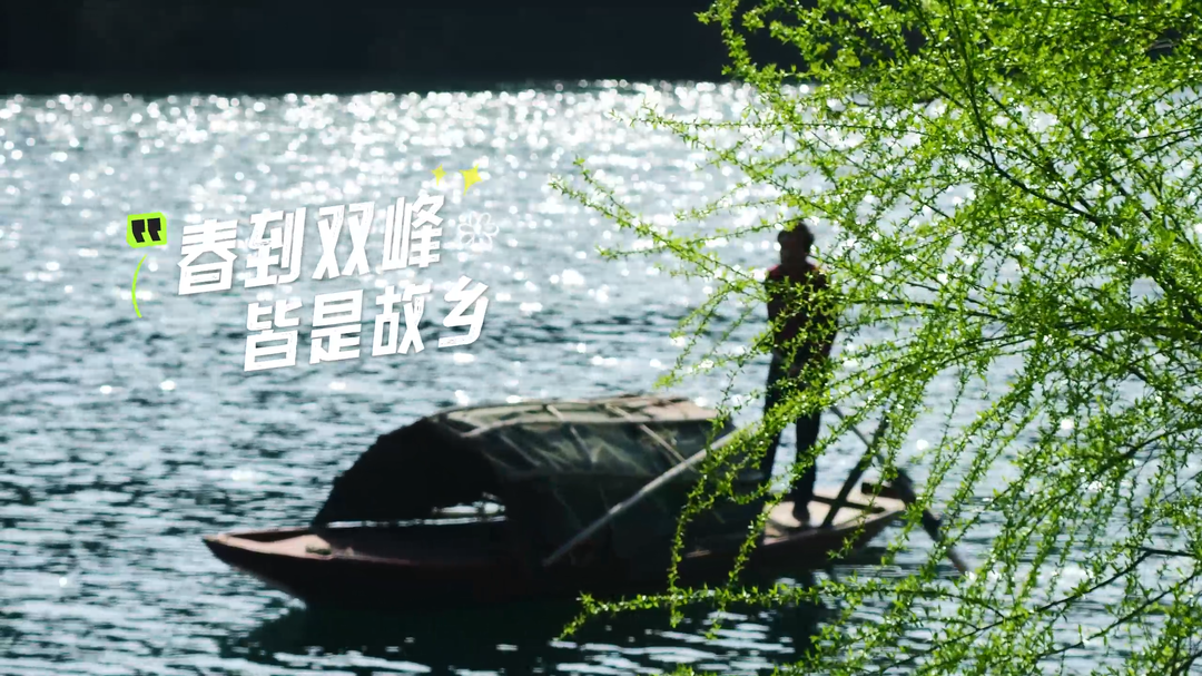 视频|春风一到，双峰便成了诗