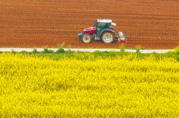 梯田花开满目金 古丈县走出富民兴村新路子@湖南日报