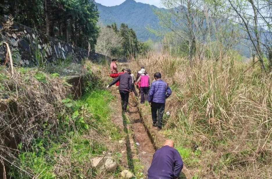 炎陵县水口镇：党员冬春训“搬”进田间地头，用一渠清水浸润民心