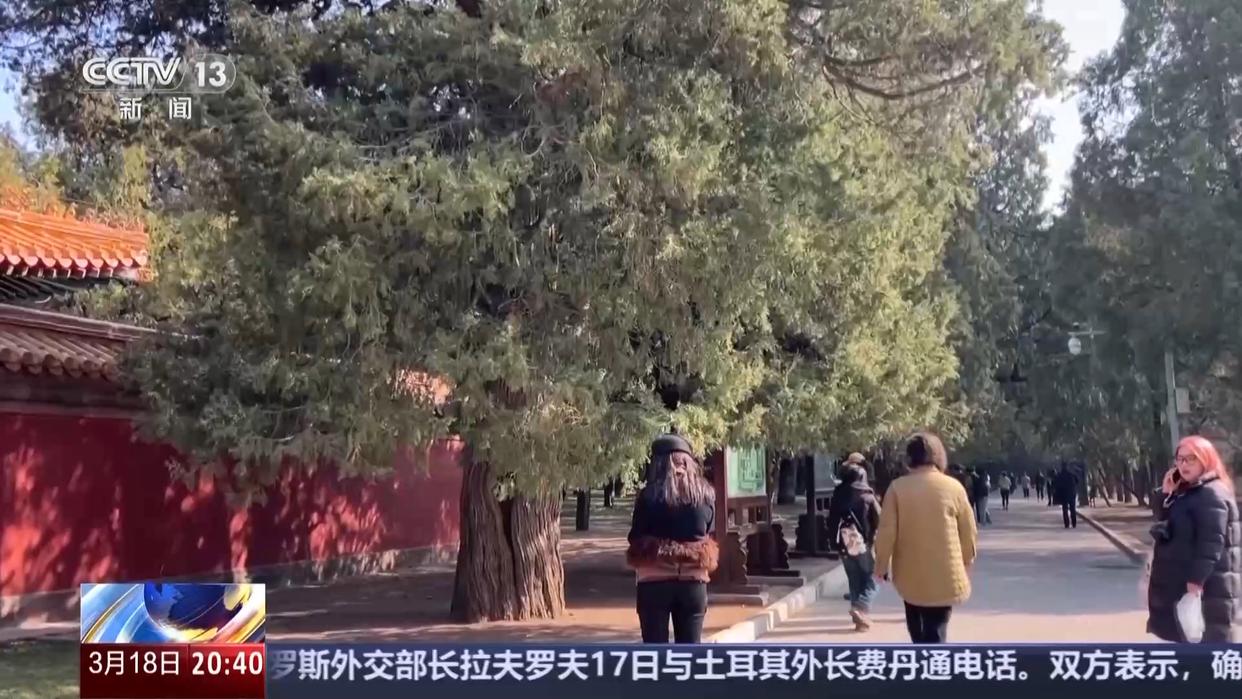 敏感人群注意！致敏花粉进入高峰期 收好这份防护攻略