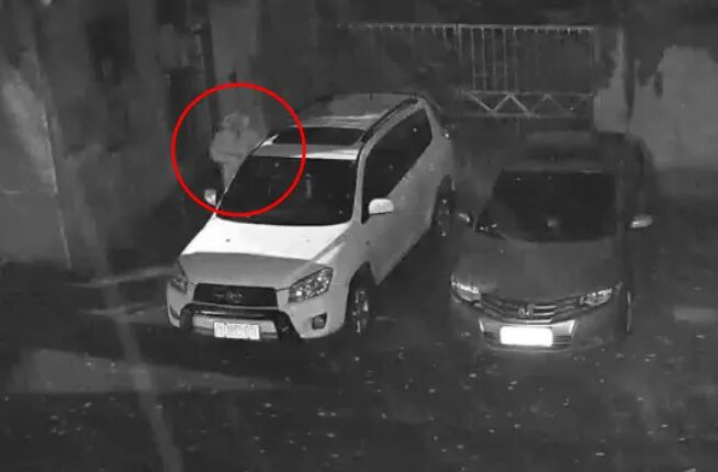 夜砸10辆车，株洲公安：抓！