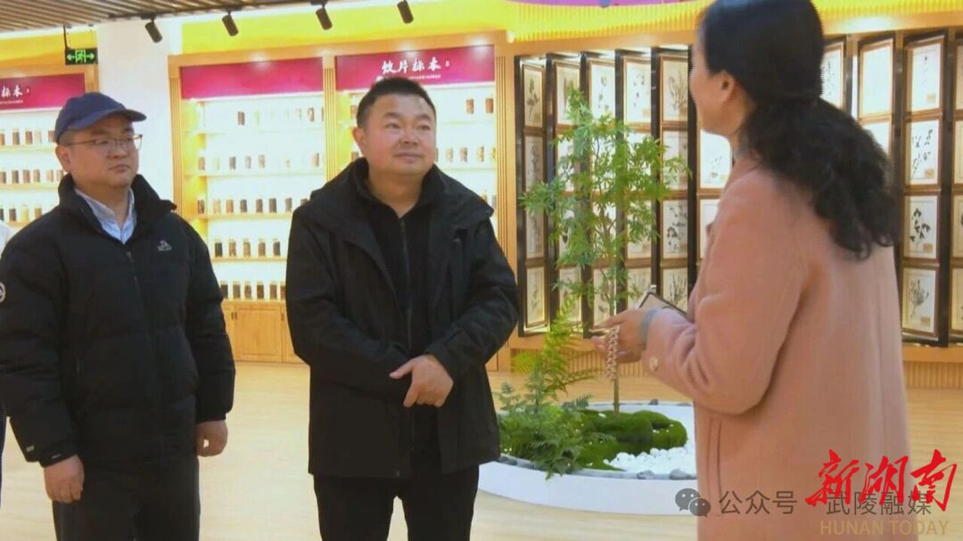 武陵区：深化校地合作 赋能产业发展