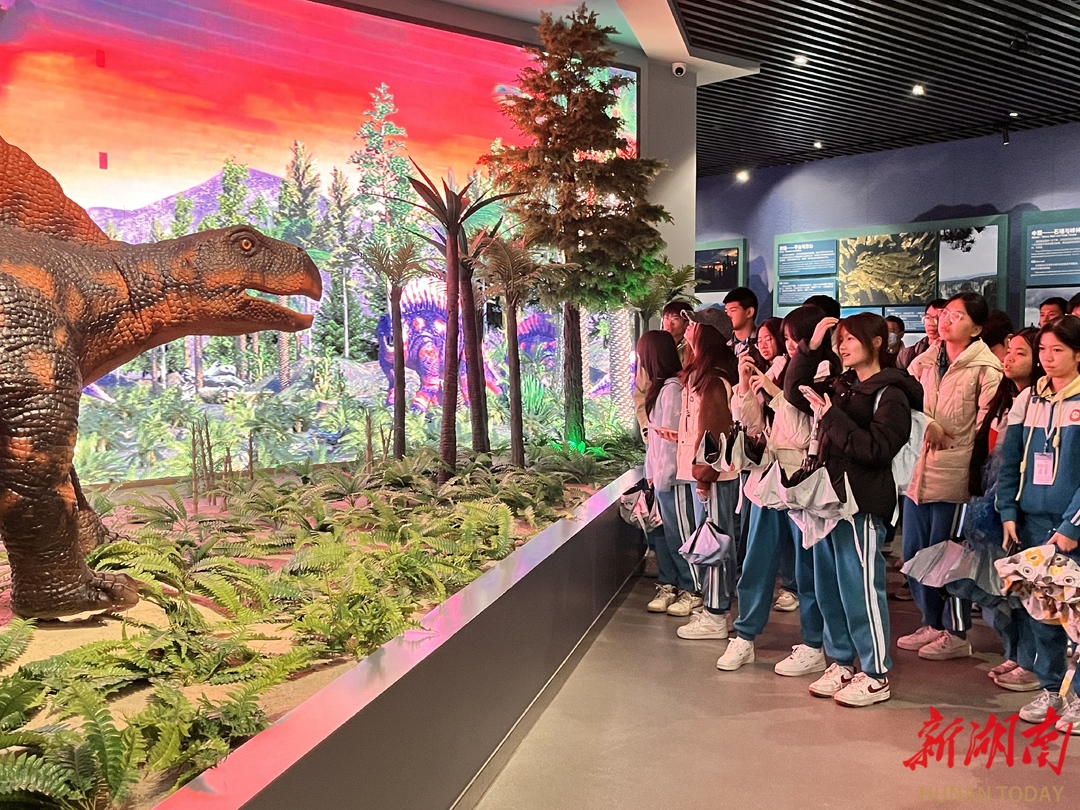 解码世界遗产  绘就“研”途美景——武陵源以科普研学赋能文旅高质量发展的创新实践