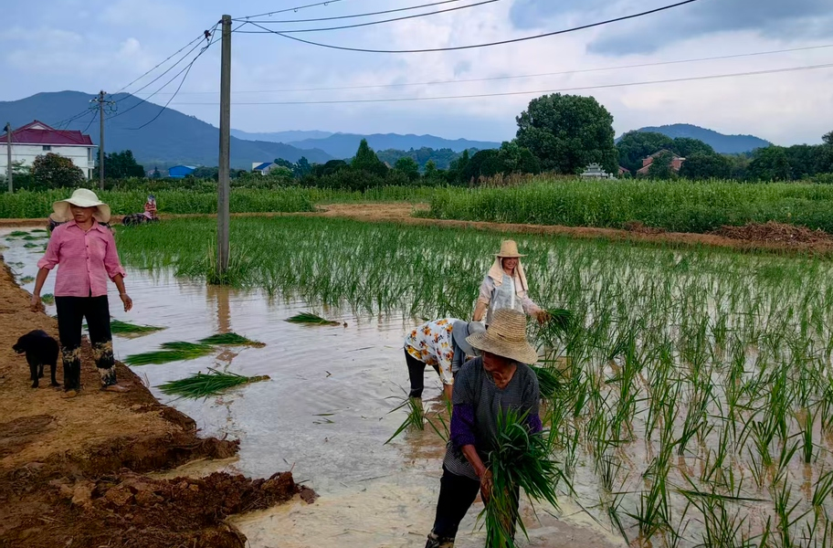 茶陵构建“天空地网”智能监管体系 连续5年耕地面积稳中有升